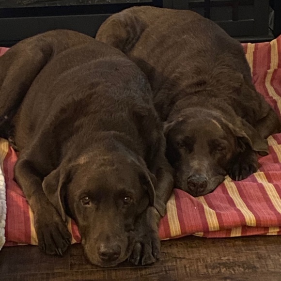 Meet your Posher, Jeff - Picture 1 of 1